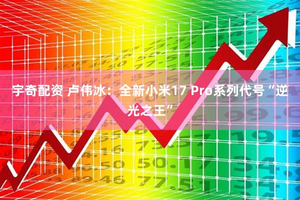 宇奇配资 卢伟冰：全新小米17 Pro系列代号“逆光之王”