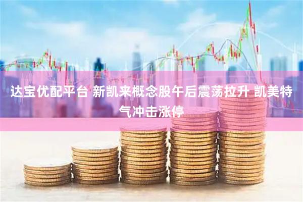 达宝优配平台 新凯来概念股午后震荡拉升 凯美特气冲击涨停