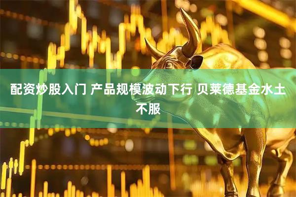 配资炒股入门 产品规模波动下行 贝莱德基金水土不服