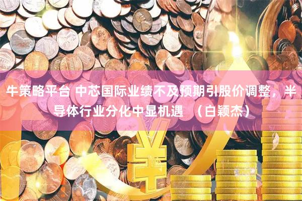牛策略平台 中芯国际业绩不及预期引股价调整，半导体行业分化中显机遇  （白颖杰）